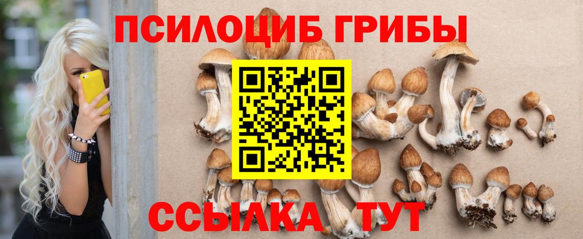 Галлюциногенные грибы Cubensis Лиски